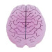 Antivibrador Gamma Emotions Cérebro Acessórios